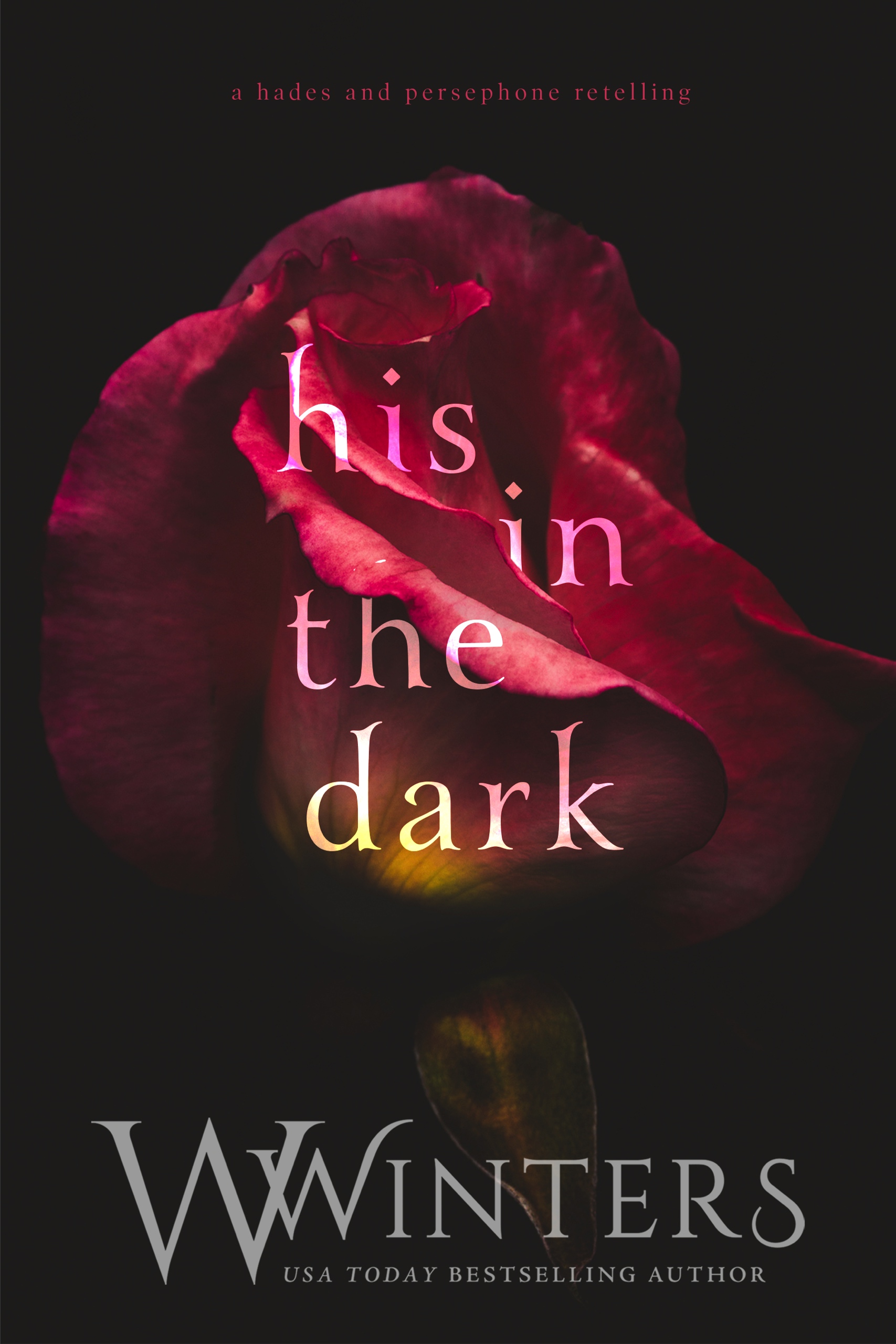 Cover of His In The Dark
